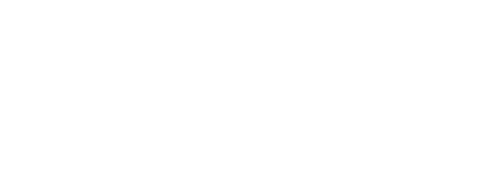 Seidor